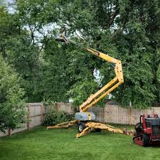 Seasonal Cleanup (Spring/Fall) in Paoli, PA