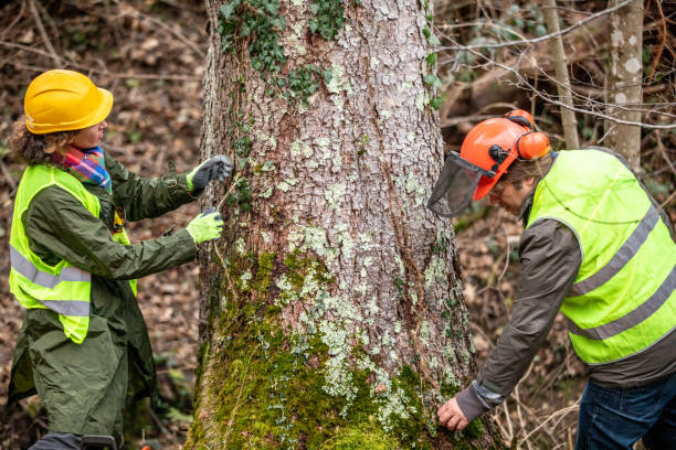 Paoli, PA Tree Care Company